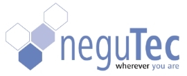 Neumark & Partner Consulting